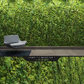 Seamless Moss Wall 3D model
